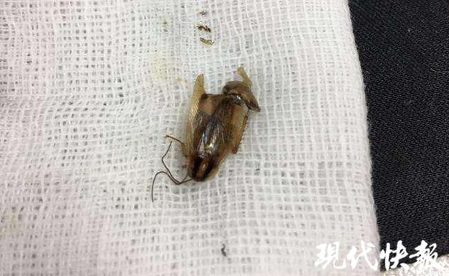 娱乐生活 第122页