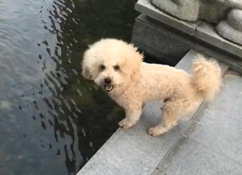 港澳新闻 第99页