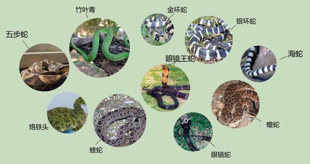 热点生活 第185页