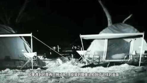 最新资讯 第46页
